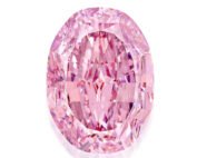 Veilingverkoop Spirit of the Rose