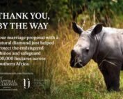 diamantsector communicatie